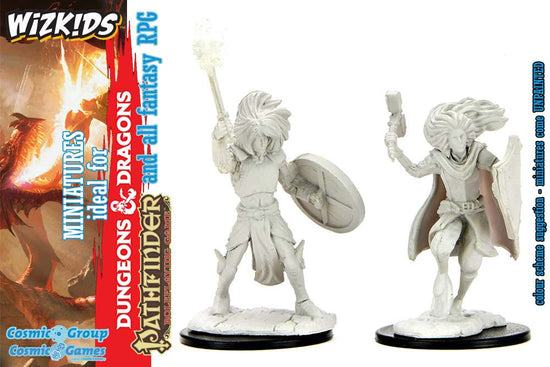Miniature D&D: D&d Nolzur Mum Changeling Cleric Male